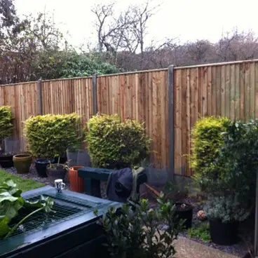 garden fencing sussex