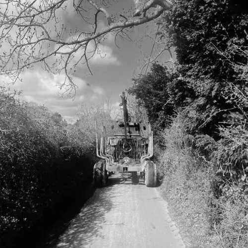 tractor logging forestry sussex