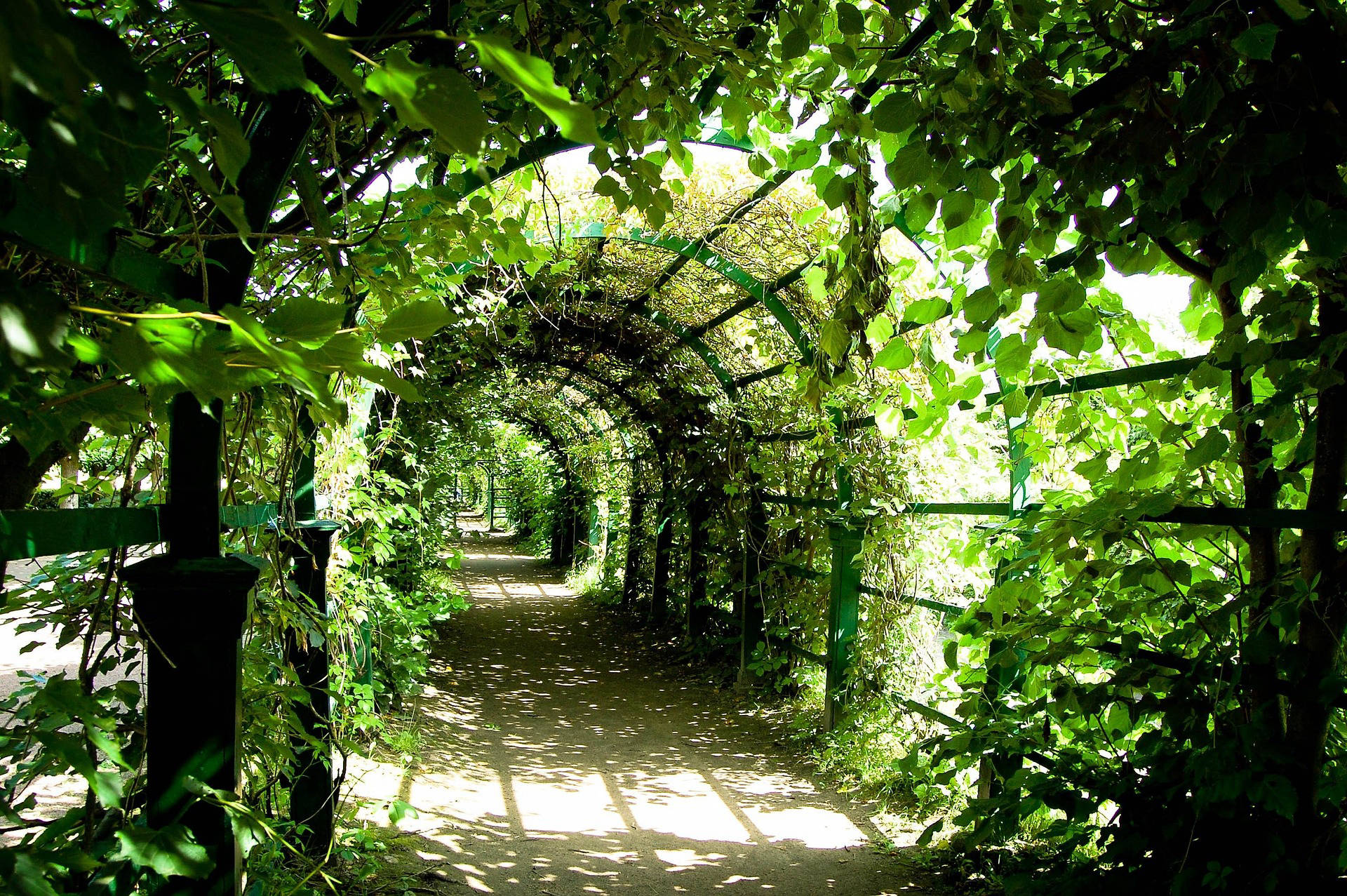 agricultural and woodland fencing sussex
